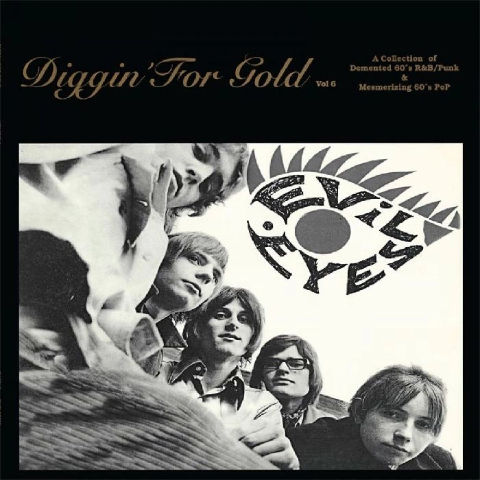 V.A. (DIGGIN' FOR GOLD) / DIGGIN' FOR GOLD VOLUME 6 [LP]
