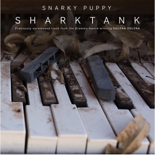 SNARKY PUPPY / スナーキー・パピー / SHARKTANK [10''] (UNRELEASED TRACK, B-SIDE ETCHING, LIMITED TO 1000, INDIE-RETAIL EXCLUSIVE)