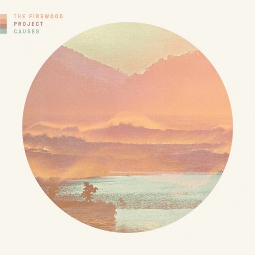 The Firewood Project / Causes