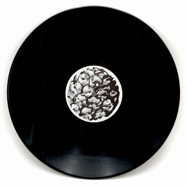 DITONGO / CALYPSO