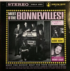 BONNEVILLES / MEET THE BONNEVILLES!