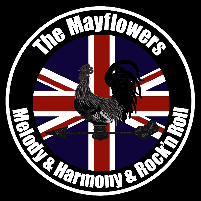 The Mayflowers / WILD ONE