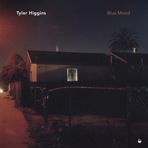 TYLER HIGGINS / BLUE MOOD