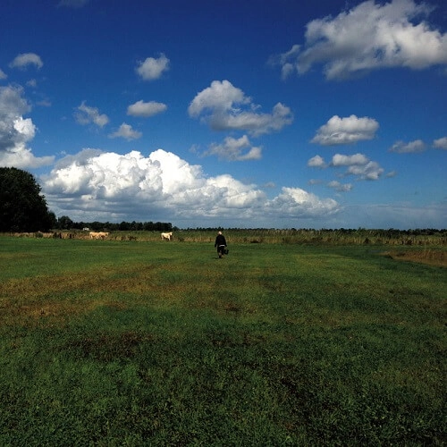 BIOSPHERE / バイオスフィア / HILVARENBEEK RECORDINGS