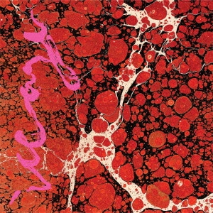 ICEAGE / アイスエイジ / ビヨンドレス  / BEYONDLESS