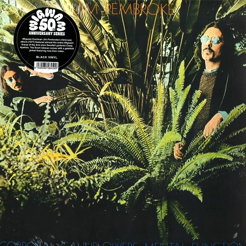 JIM PEMBROKE / ジム・ペンブローク / CORPORAL CAULIFLOWER'S MENTAL FUNCTION: 180G LIMITED VINYL