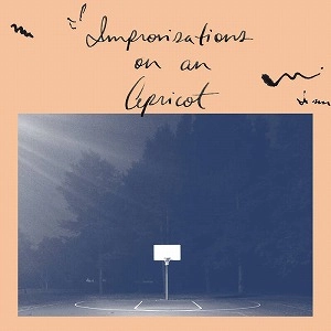 AQUEDUCT ENSEMBLE / IMPROVISATIONS ON AN APRICOT