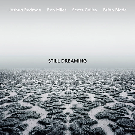 JOSHUA REDMAN / ジョシュア・レッドマン / STILL DREAMING (FEAT. RON MILES, SCOTT COLLEY & BRIAN BLADE)