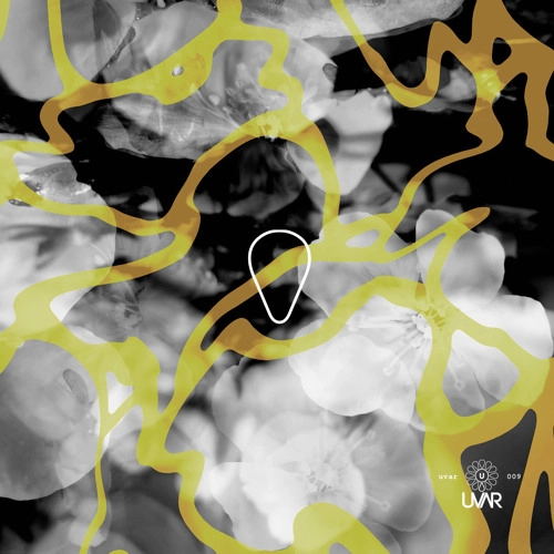 NU ZAU / LA RASCRUCE LP