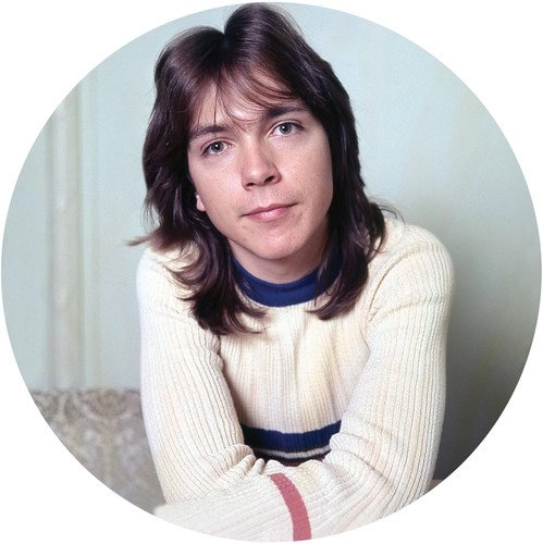 DAVID CASSIDY / デヴィッド・キャシディ / I THINK I LOVE YOU GREATEST HITS LIVE