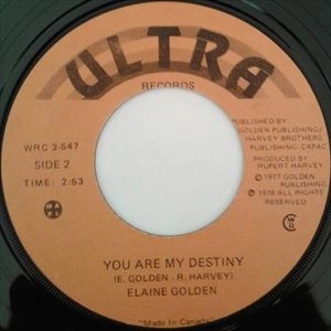 ELAINE GOLDEN / DON'T STOP SHAKING / DONT STOP SHAKING