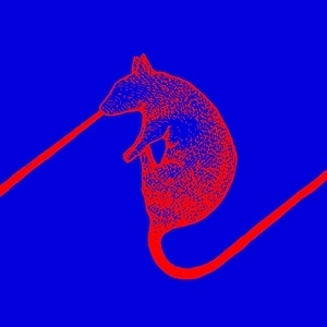 THE DWARFS OF EAST AGOUZA / ザ・ドワーフス・オブ・イースト・アゴウザ / RATS DON'T EAT SYNTHESIZERS