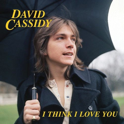 DAVID CASSIDY / デヴィッド・キャシディ / I THINK I LOVE YOU
