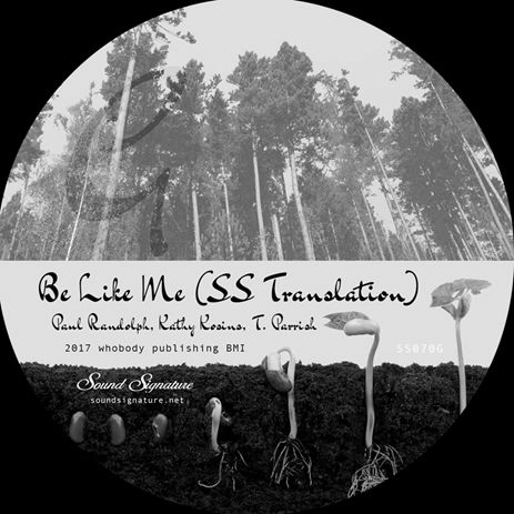THEO PARRISH / セオ・パリッシュ / GENTRIFIELD LOVE PART 4