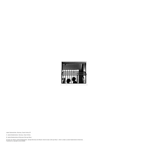 JAKOB SEIDENSTICKER & BORONAS / ANITINA EP