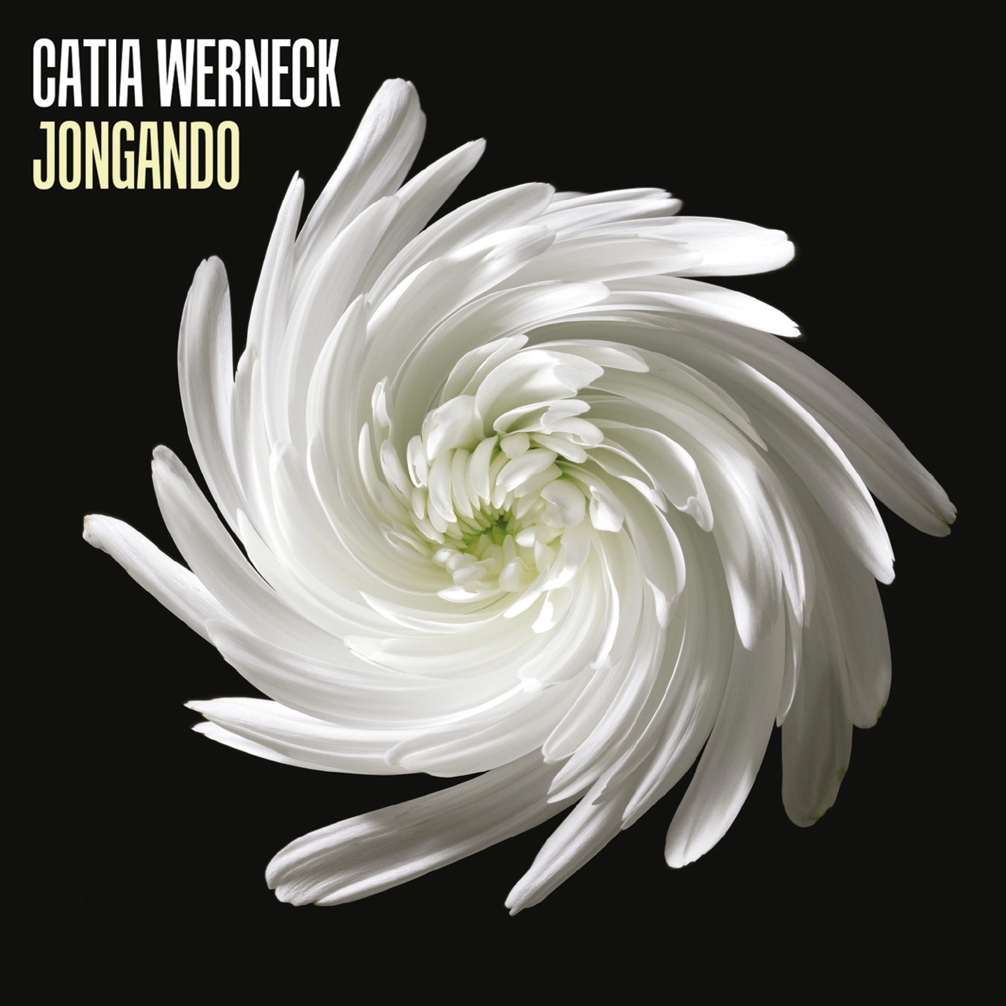 CATIA WERNECK / カチア・ウェルネック / ジョンガンド / JONGANDO