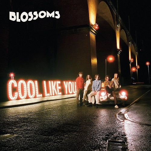 BLOSSOMS (UK ROCK) / ブロッサムズ / COOL LIKE YOU (2CD/DELUXE EDITION)