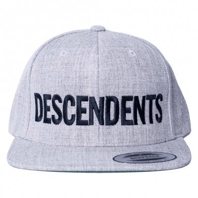 DESCENDENTS / ディセンデンツ / LOGO SNAPBACK (GREY)