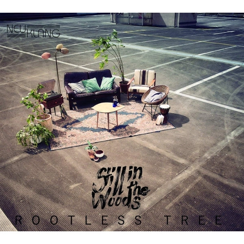 STILL IN THE WOODS / ROOTLESS TREE