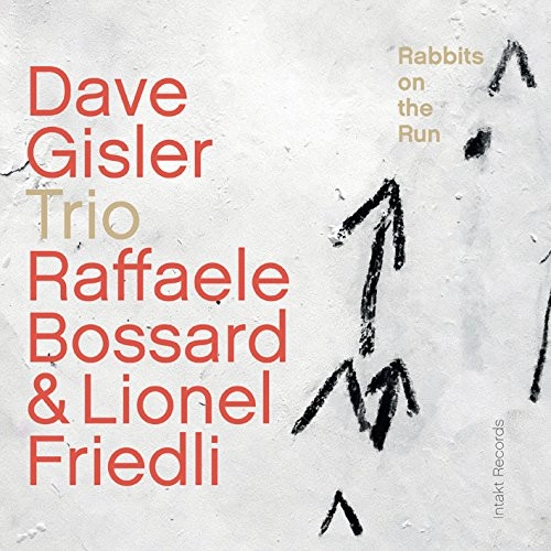 DAVE GISLER / デイブ・ジスラー / Rabbit On The Run