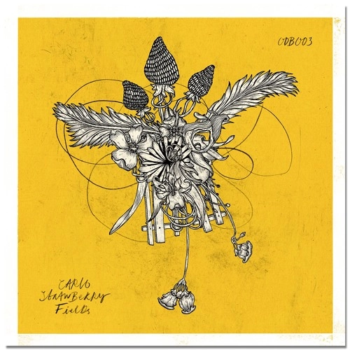 CARLO (CLUB) / STRAWBERRY FIELDS