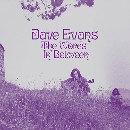 DAVE EVANS / デイヴ・エヴァンス / THE WORDS IN BETWEEN(CD)
