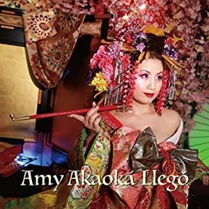AMY AKAOKA / エイミー・アカオカ / エイミー･アカオカ･ジェゴ / Y AKAOKA LLEGO