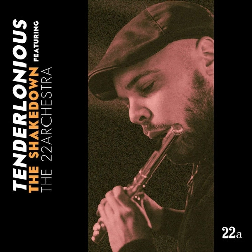 TENDERLONIOUS / テンダーロニアス / Shakedown Featuring The 22archestra(2LP)