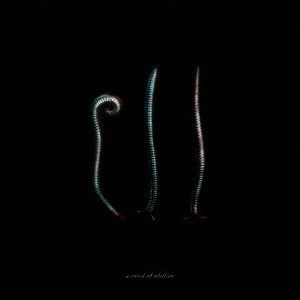 a crowd of rebellion / Ill