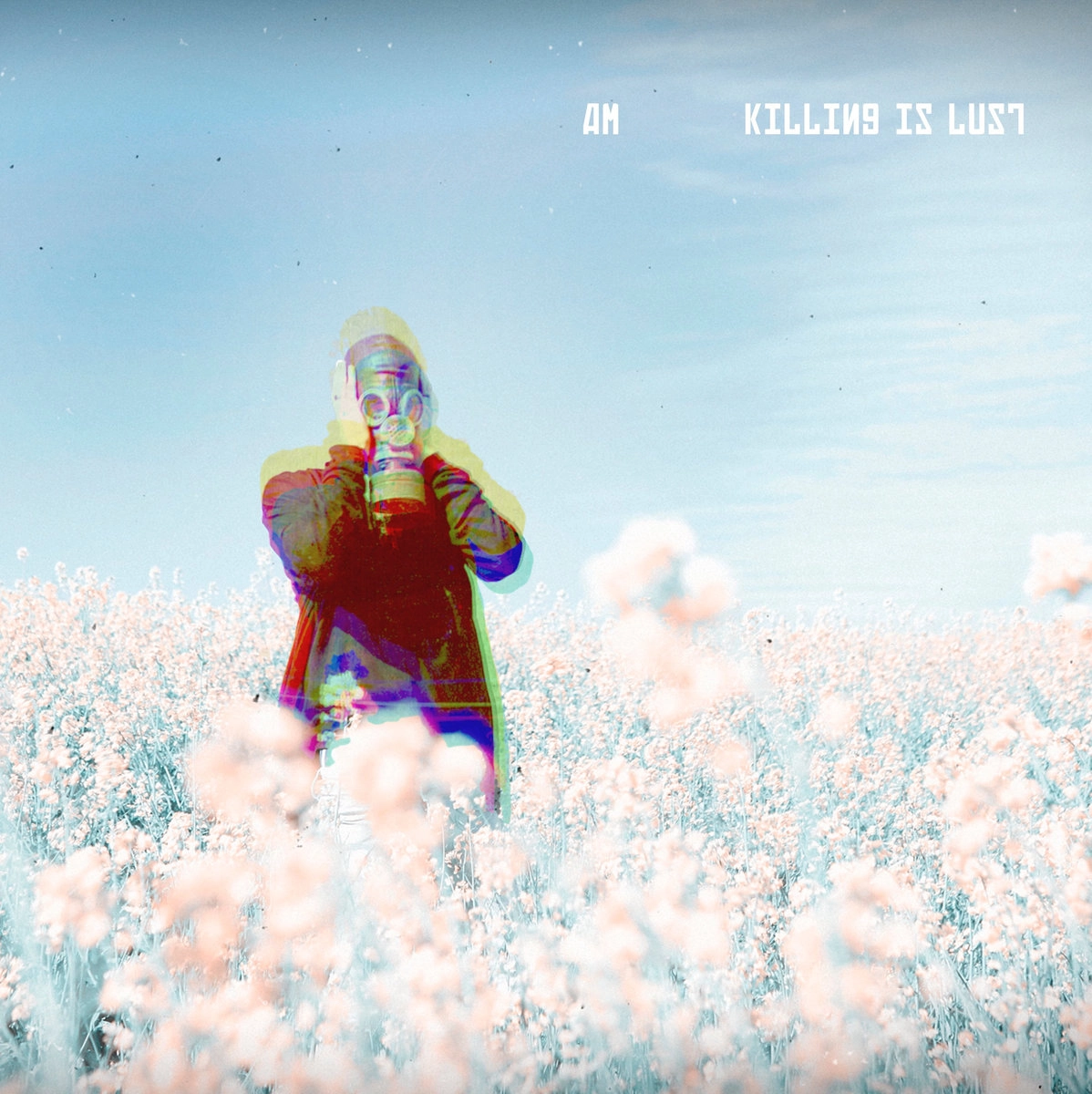 AM (COLD WAVE) / KILLING IS LUST