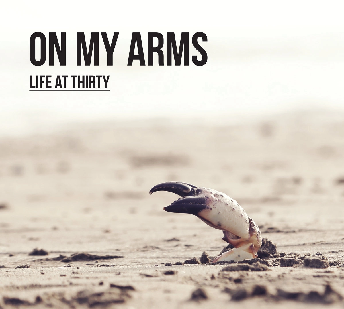 ON MY ARMS / LIFE AT THIRTY