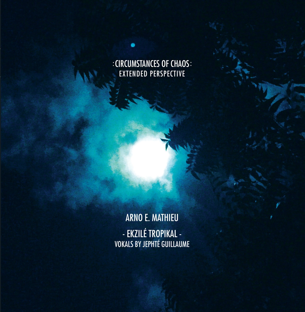 ARNO E.MATHIEU / アーノ・E・マチュー / EKZILE TROPIKAL (FEAT JEPHTE GUILLAUME)