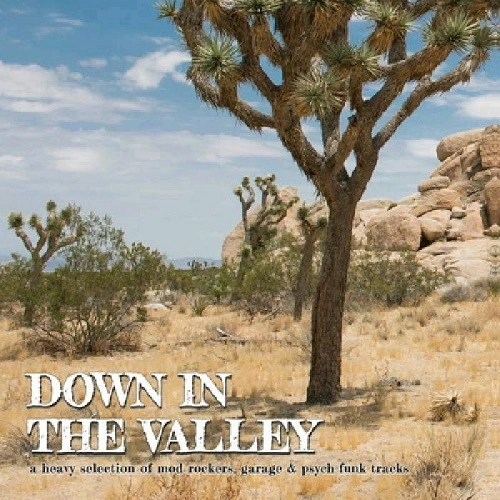 V.A. (DOWN IN THE VALLEY) / DOWN IN THE VALLEY