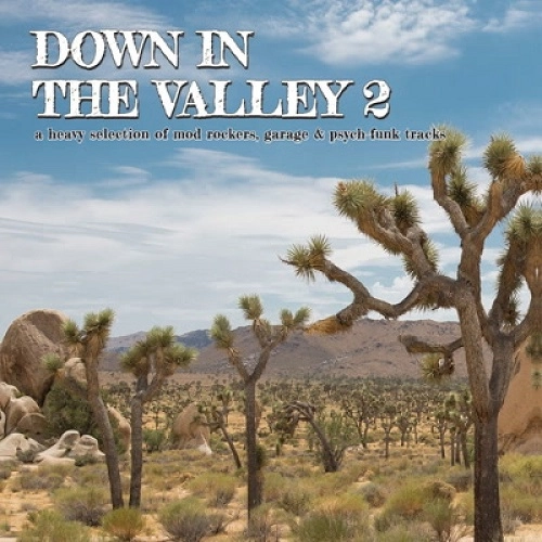 V.A. (DOWN IN THE VALLEY) / DOWN IN THE VALLEY 2