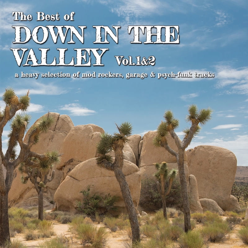 V.A. (DOWN IN THE VALLEY) / DOWN IN THE VALLEY VOL.1&2