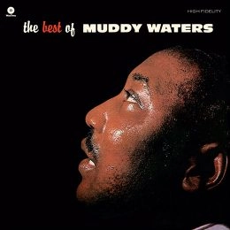 MUDDY WATERS / マディ・ウォーターズ / BEST OF