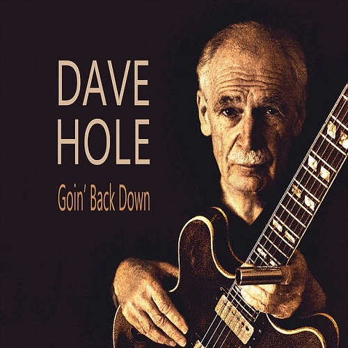 DAVE HOLE / GOIN' BACK DOWN