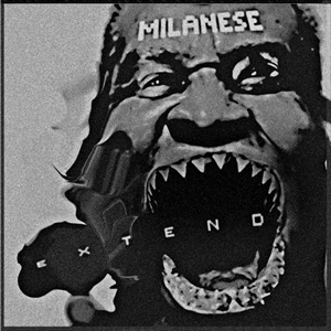 MILANESE / EXTEND