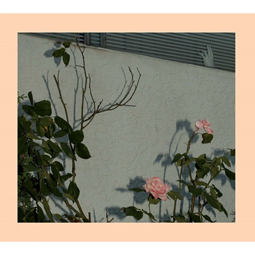 SOFT KILL / ソフト・キル / SAVIOR