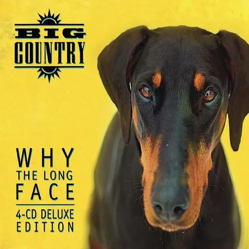 BIG COUNTRY / ビッグ・カントリー / WHY THE LONG FACE
