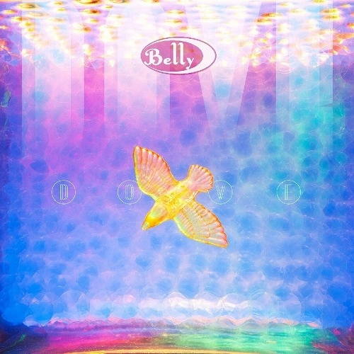BELLY / ベリー / DOVE