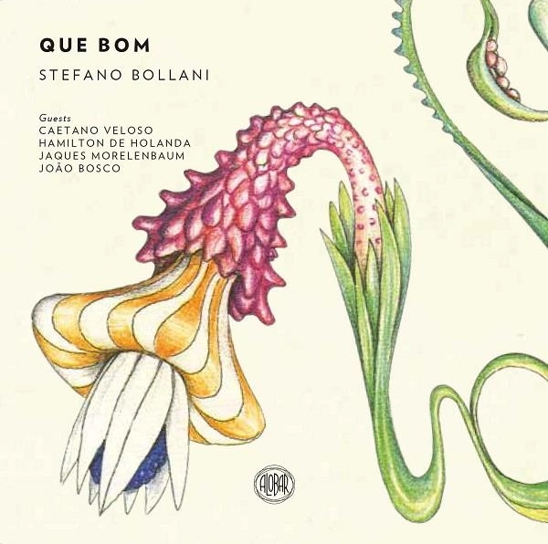 STEFANO BOLLANI / ステファノ・ボラーニ / キ･ボン / QUE BOM