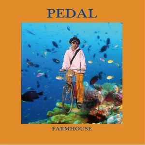 FARMHOUSE / PEDAL