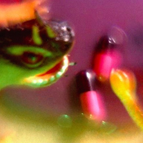 BUSH TETRAS / ブッシュ・テトラス / TAKE THE FALL (LP)