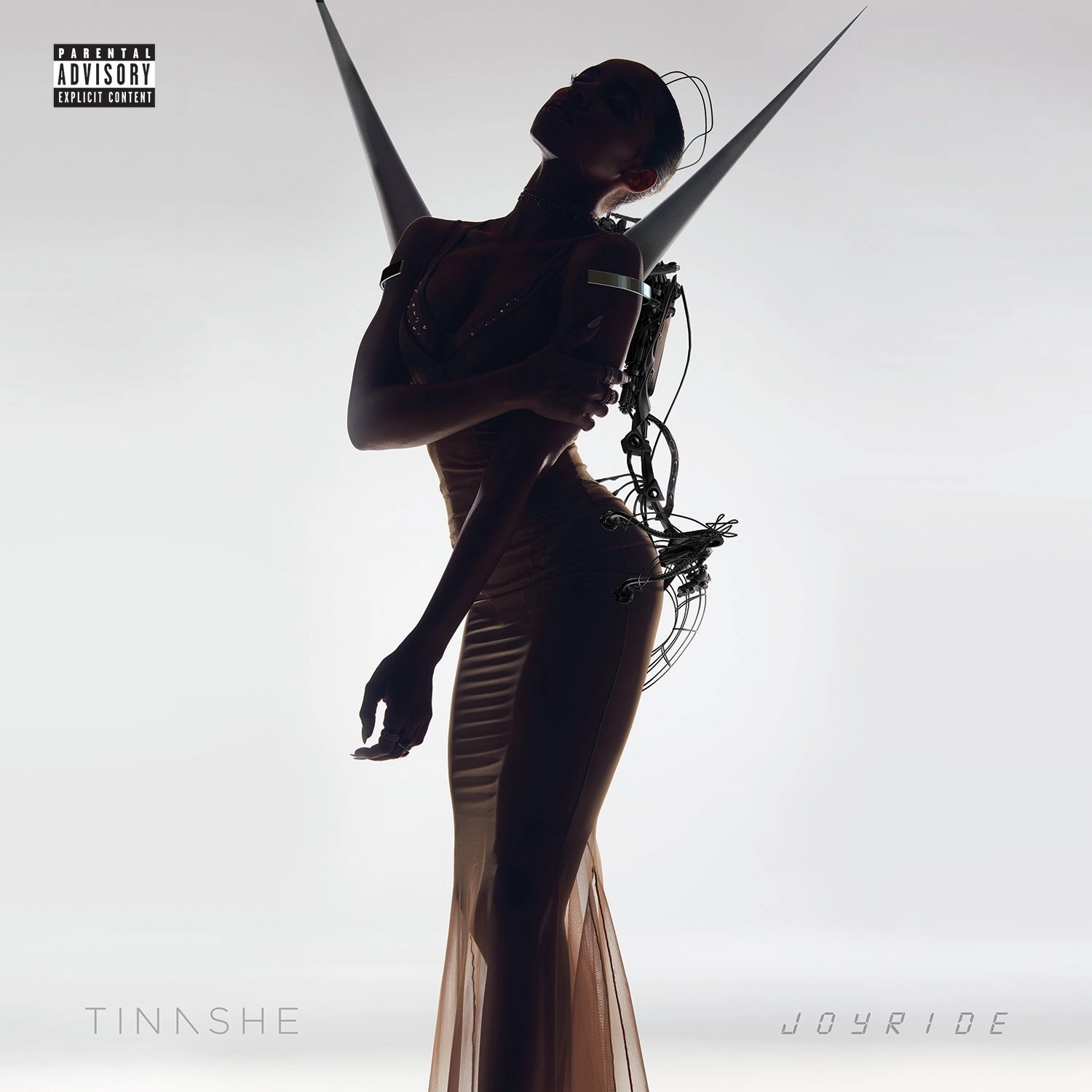 TINASHE / ティナーシェ / JOYRIDE