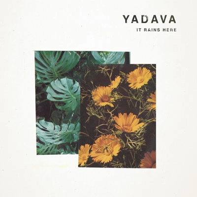YADAVA / IT RAINS HERE