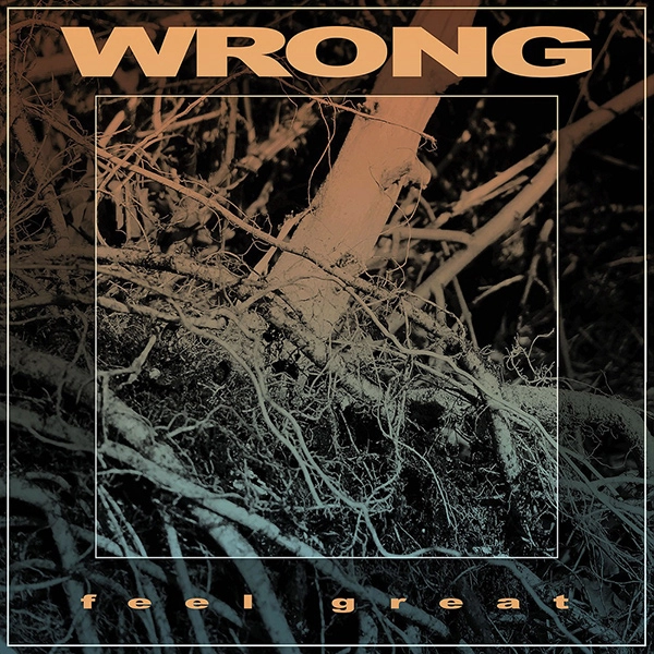 WRONG / FEEL GREAT<LP>