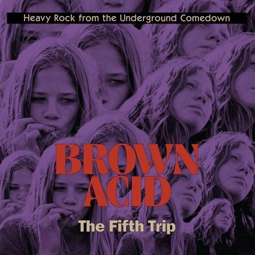 V.A. / オムニバス / BROWN ACID: THE FIFTH TRIP (CD)