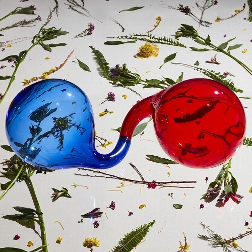 DIRTY PROJECTORS / ダーティ・プロジェクターズ / LAMP LIT PROSE (LP/180G/BLUE&RED VINYL)