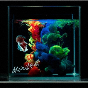 夜の本気ダンス / Magical Feelin'